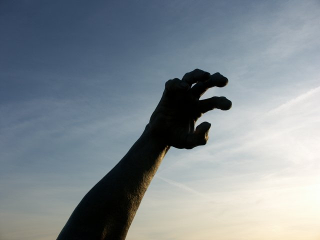 Photograph
