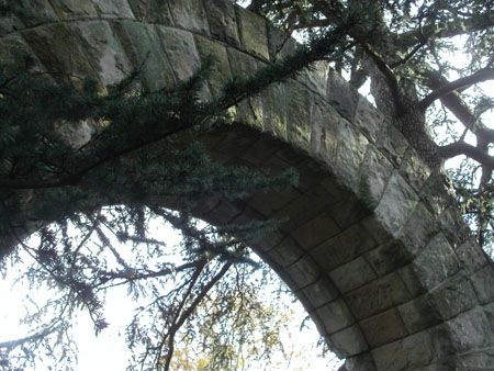 06-garden