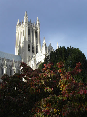 13-cathedral