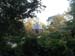 02-garden