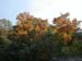 08-autumn