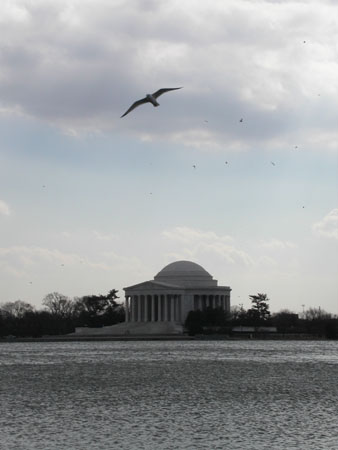Jefferson-02