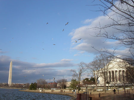 Jefferson-05