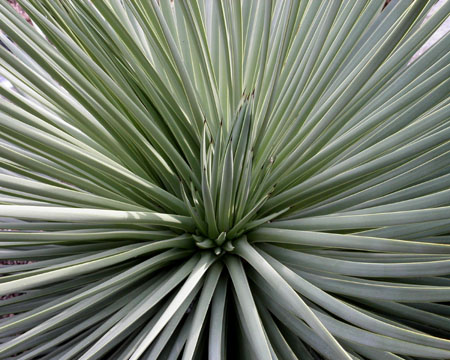 kewfoliage8