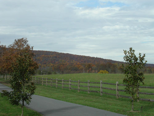 07-landscape