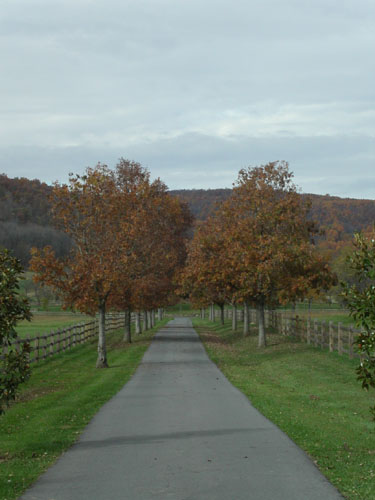 08-landscape