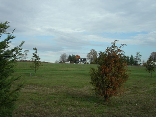 09-landscape