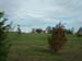 09-landscape
