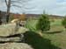 11-landscape
