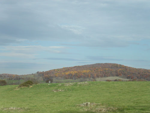 02-skymeadows