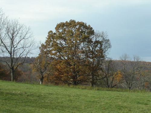 03-skymeadows