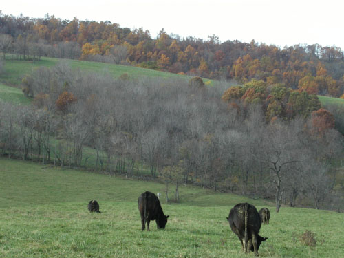 09-skymeadows