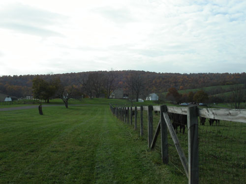 11-skymeadows