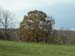 03-skymeadows