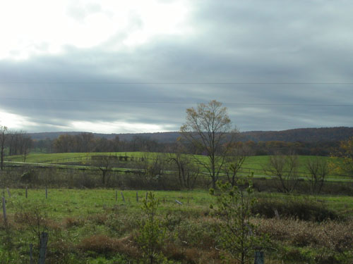 13-landscape