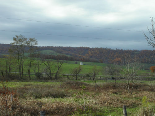14-landscape