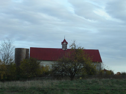 13-arboretum