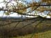 08-arboretum