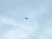 14-paraglider