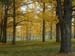 19-arboretum