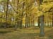 24-arboretum