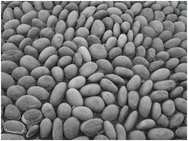 Ascent at The National Air and Space Museum Udvar-Hazy Center