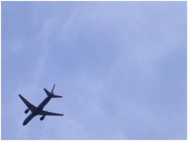Ascent at The National Air and Space Museum Udvar-Hazy Center
