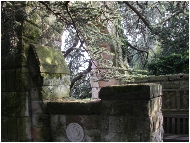 The Washington National Cathedral