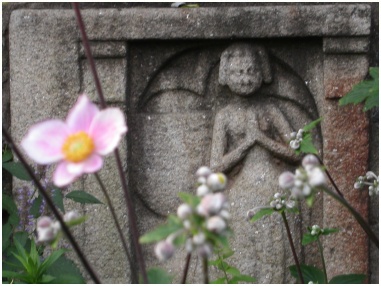 The Washington National Cathedral