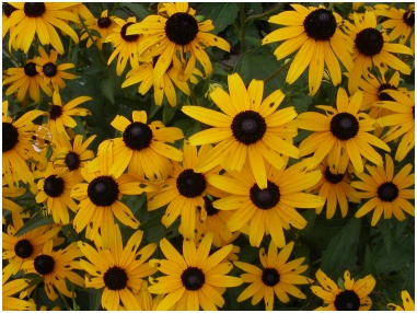 The Washington National Cathedral