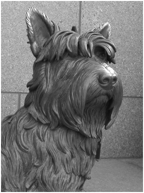 The Franklin Delano Roosevelt Memorial