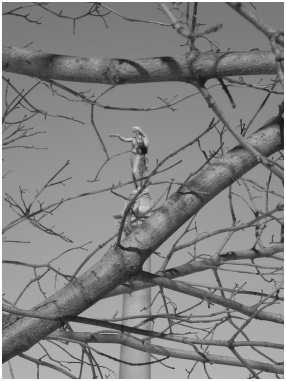 Gettysburg, Pennsylvania