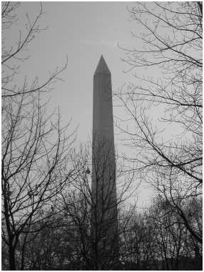 The Washington Monument