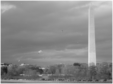 The Washington Monument